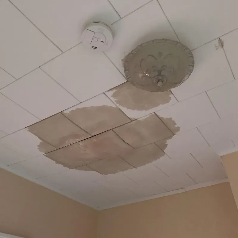 Ceiling Water Damage Repair in Woodward, OK