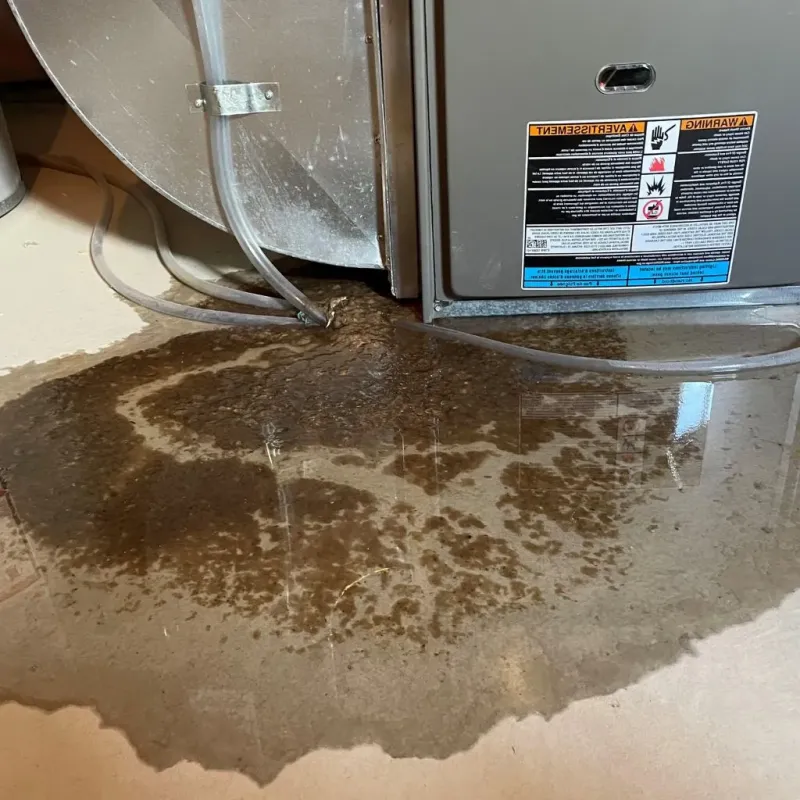 Pipe Burst and Leak Restoration in Woodward, OK