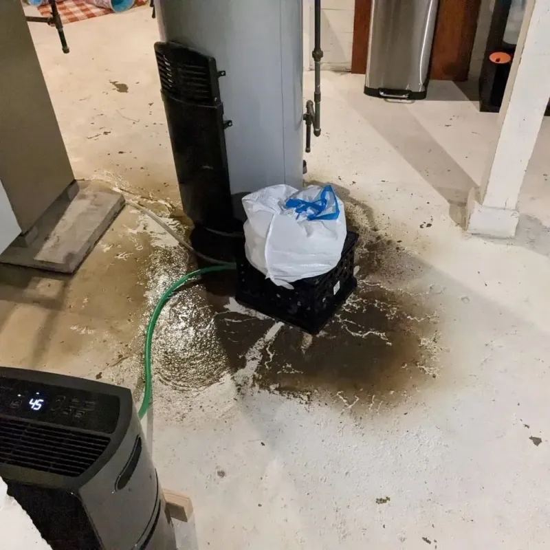 Sewage Backup Cleanup Service in Woodward, OK